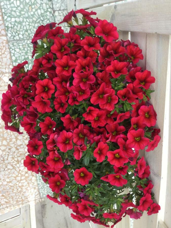 Bed and Breakfast Casa 28 Canosa di Puglia Exterior foto
